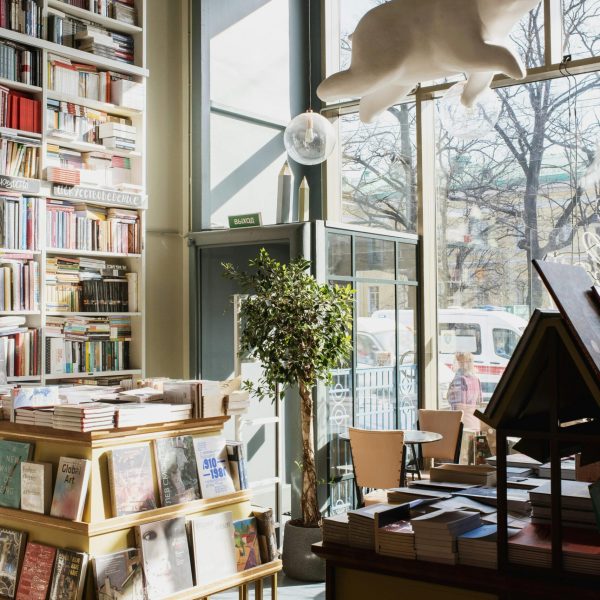 Sunlit bookstore interior with numerous books and modern decor, offering a cozy reading atmosphere.